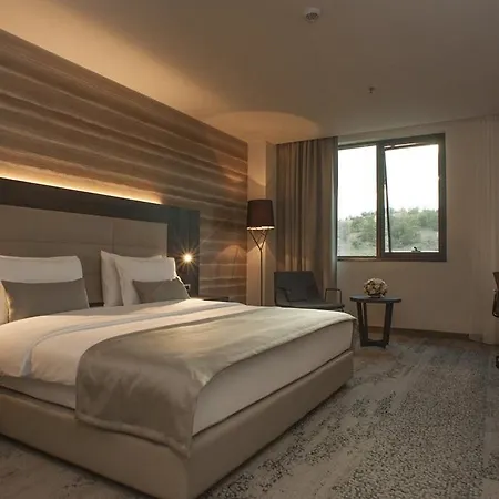 Podgorica 3*